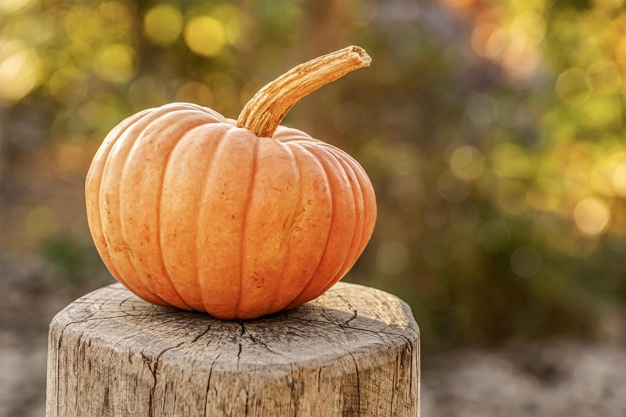 Capelli deboli che si spezzano: i rimedi fai da te con cannella e zucca