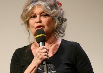 Brigitte Bardot, quando e perché si è ritirata? La svolta animalista della diva del cinema