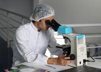 Università degli Studi di Padova: cerca Biologo con assunzione a tempo indeterminato. Requisiti e scadenza