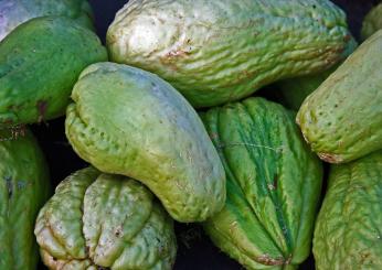 Esplorazioni in cucina: ricette con chayote