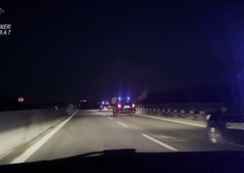 Reggio Calabria, incidente a Bova Marina: morto un ex dirigente del…