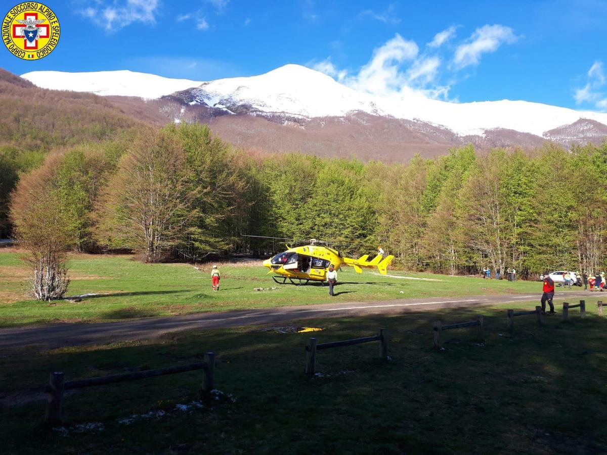 Trento, escursionisti trovano carcassa esemplare M62. Enpa teme att…