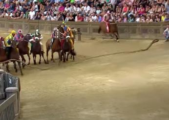 Assegnazione cavalli Palio di Siena, chi corre oggi 2 luglio 2024? I cavalli favoriti