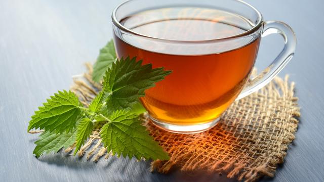 Regali di Natale per una pausa rilassante: ecco le tisane perfette per l’inverno