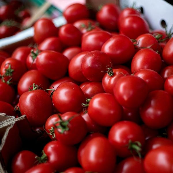 Innovazione in cucina con i pomodorini semi dry