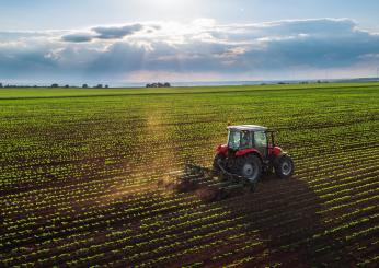 Diversificazione agricola: 5 vantaggi per la biodiversità e la sostenibilità ambientale