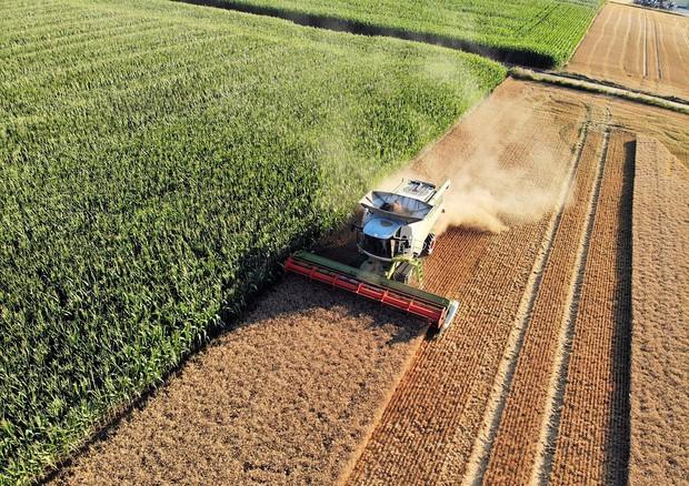 L’agricoltura intensiva e gli effetti sull’inquinamento atmosferico