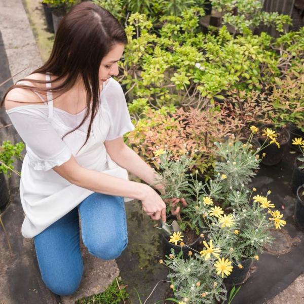 Come funziona il giardino terapeutico? Una tecnica che migliora l’umore senza farmaci