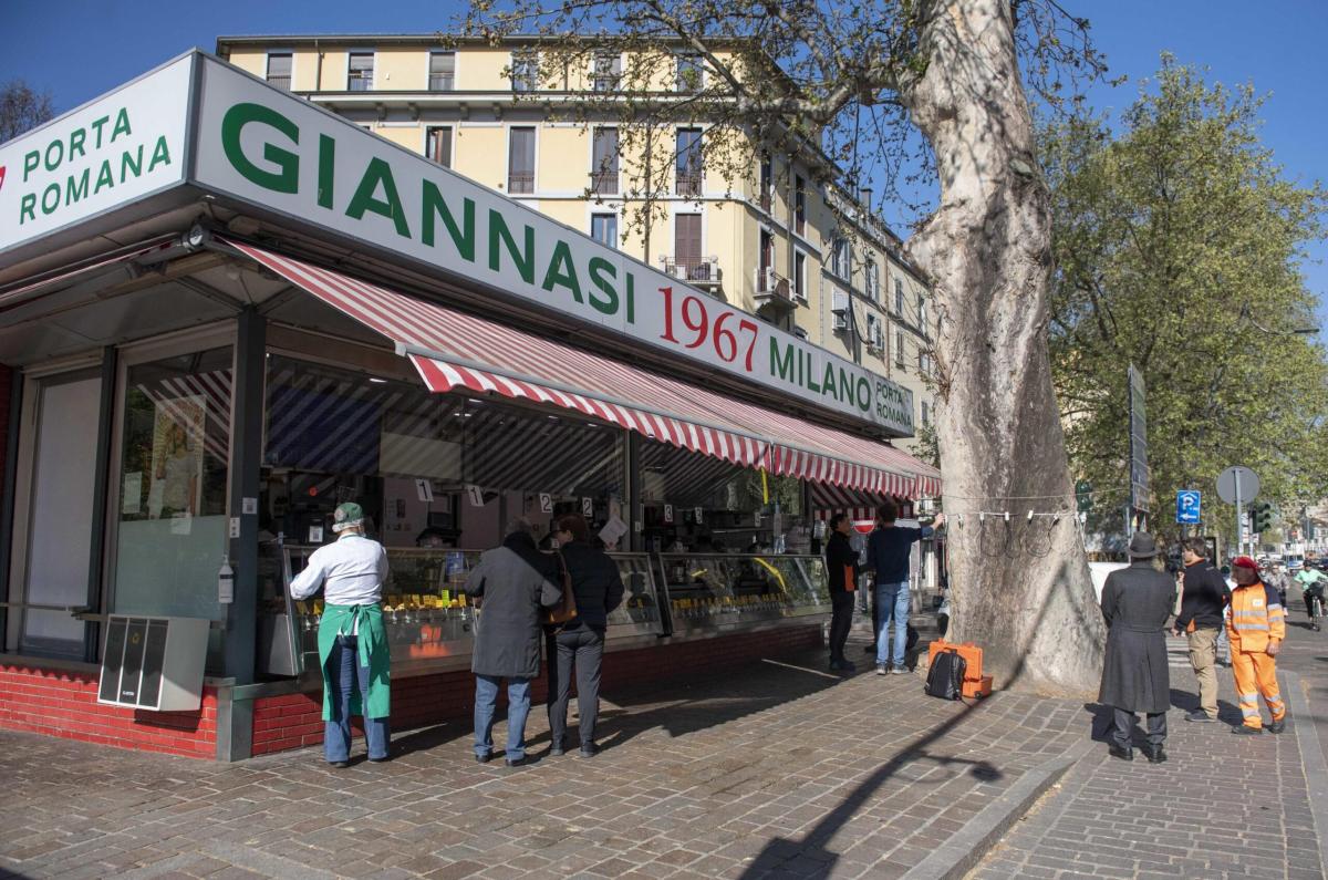 Platano di Giannasi di Milano: presto abbattuto l’albero secolare