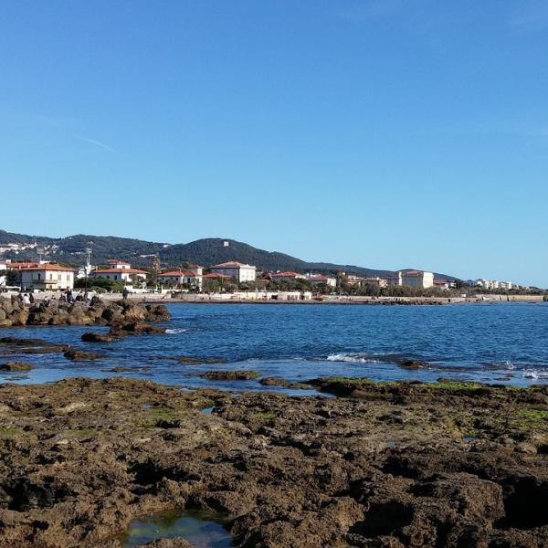 Cosa c’è da vedere vicino al porto di Livorno: le zone più belle