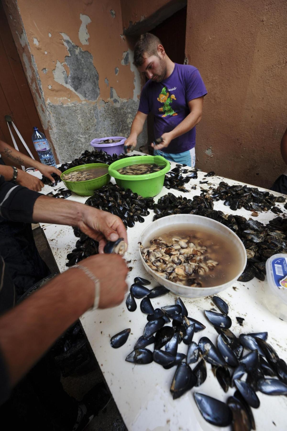 Venezia, l’impresa da Guinness World Record a Malamocco: tavolata di 200 metri e 20 mila cozze gratinate