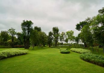 Stare nel verde migliora la salute mentale, anche se lo si fa per pochi minuti al giorno