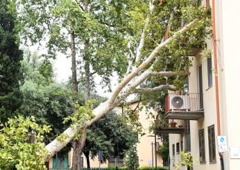 Maltempo Toscana, tromba d’aria e nubifragi: due vittime e molti feriti