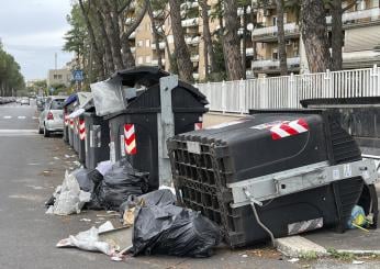 L’emergenza rifiuti a Roma arriva anche in Germania, ecco cosa ha s…