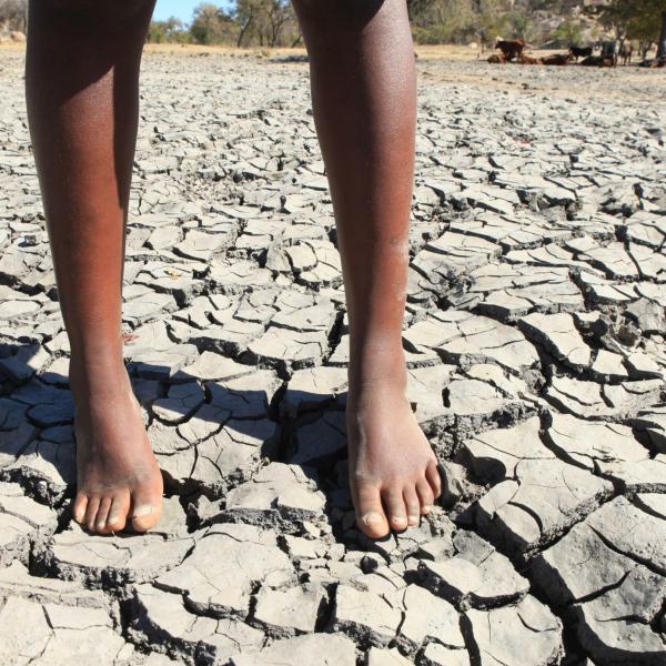 Zimbabwe, il presidente dichiara lo stato di calamità per la siccità causata da El Niño