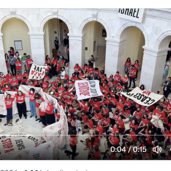 Washington, protesta a Capitol Hill: cosa chiedono gli attivisti di Jewish Voice For Peace? | VIDEO