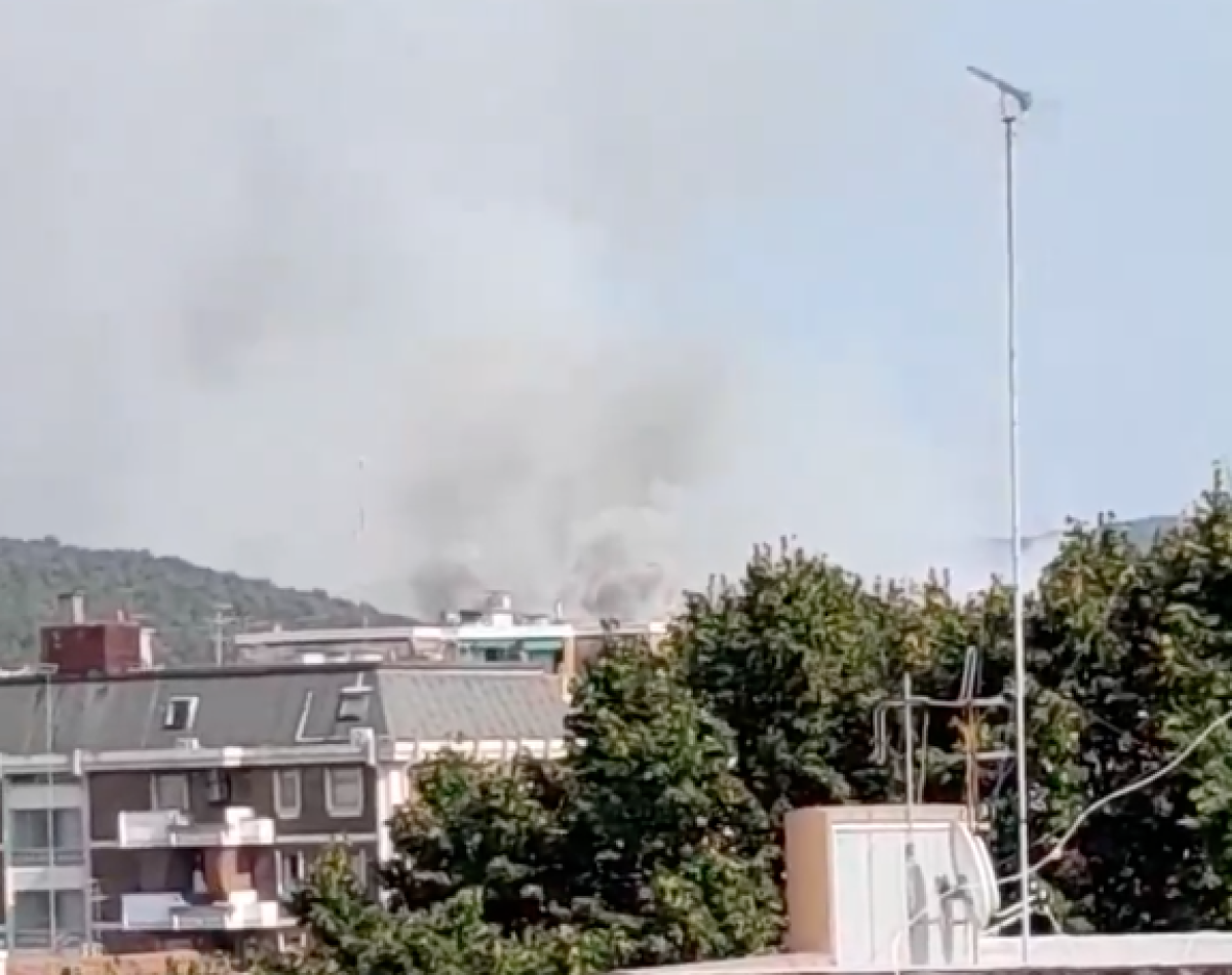 Gorizia, incendio al Lisert di Monfalcone: chiusa la strada statale 14. Cosa è successo? | VIDEO