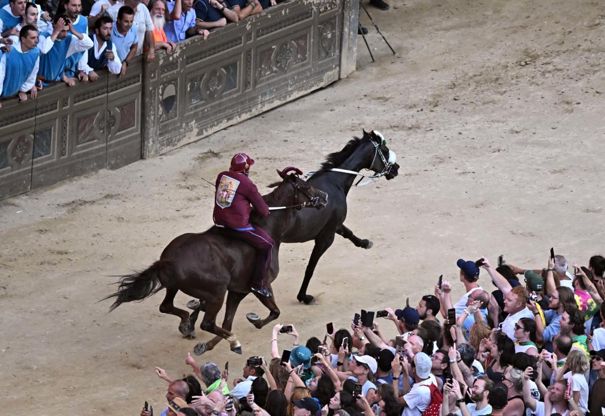 Chi è Tabacco, il cavallo vincitore del Palio di Siena del 4 luglio 2024?