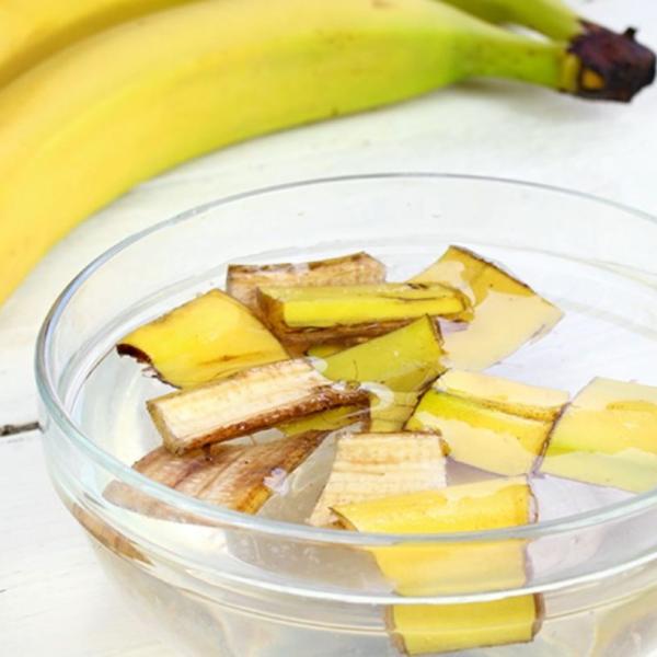 Quali sono i benefici dell’infuso di bucce di banana; vantaggi inaspettati