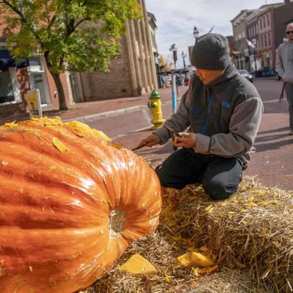 California, battuto il record mondiale per la zucca più grande: peso e dimensioni della nuova “regina dell’orto”