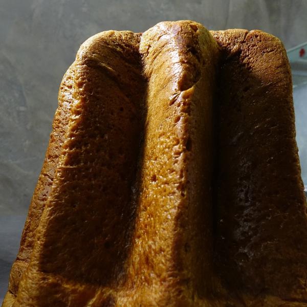 Qual è il pandoro più buono: tutti quelli da assaggiare