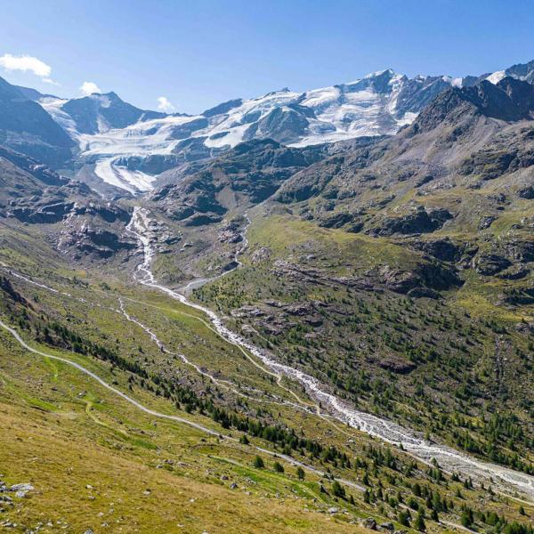 Sondrio, tragedia in Valtellina: escursionista di 71 anni precipita in una scarpata e muore