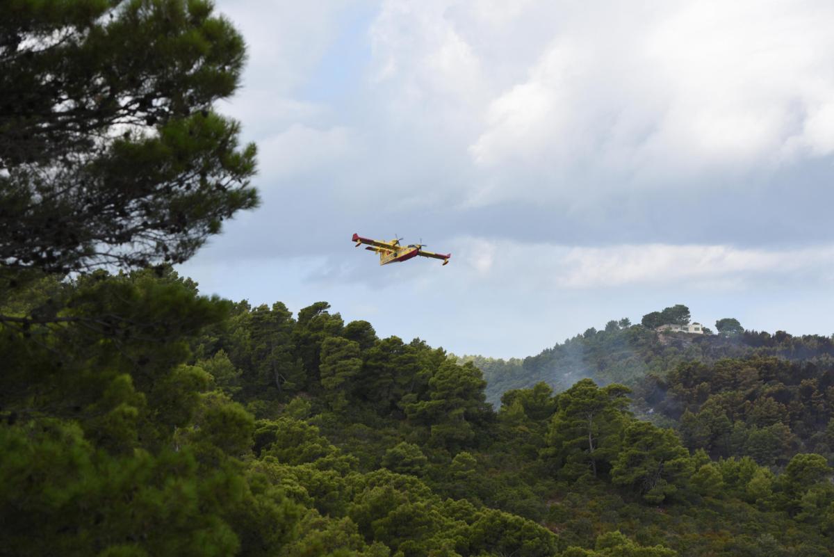 Lecce, incendio a Torre Mozza: brucia la pineta di Ugento, evacuati…