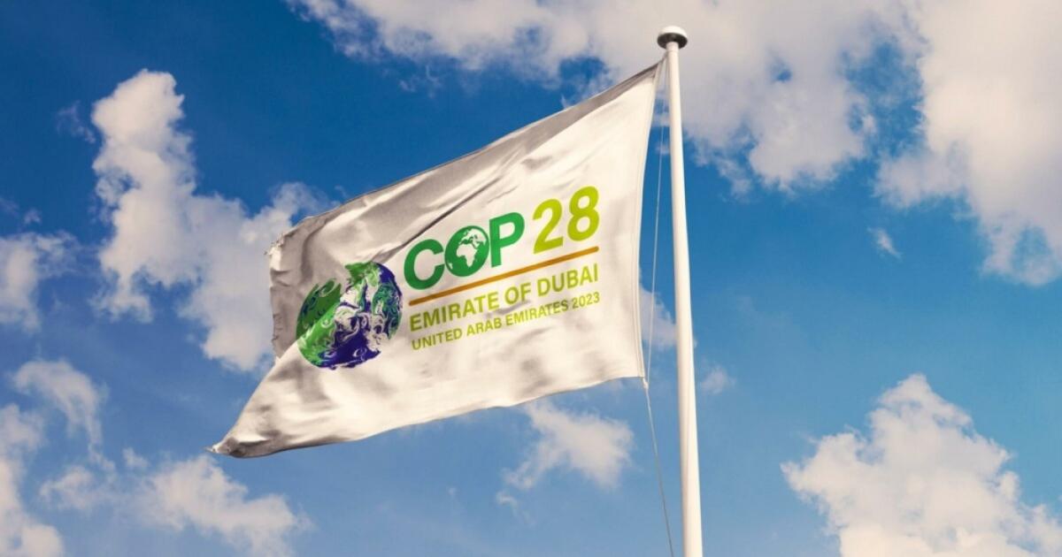 Cop28 a Dubai, Carlo Buontempo: “Aspettative basse”