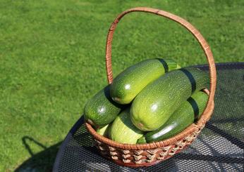 Goloso e super filante: il tortino di zucchine al forno, anche light