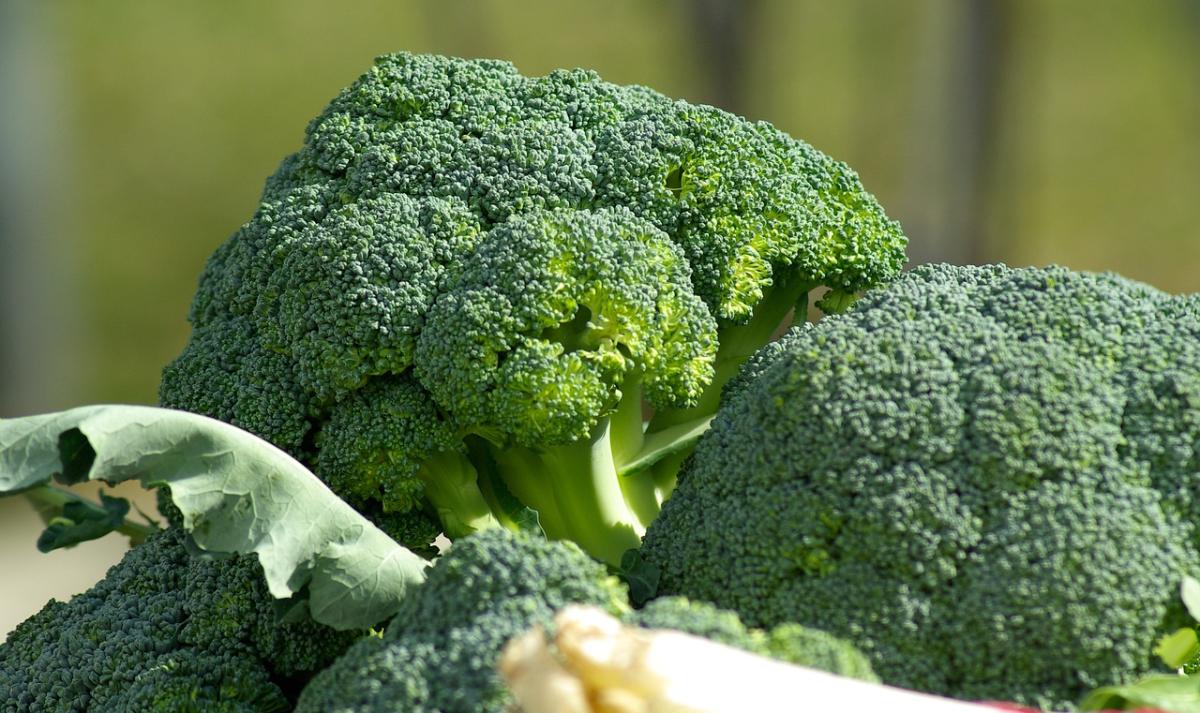 Come cucinare i broccoli in padella: ricette e accostamenti