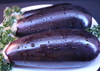 Pasta con le melanzane: in bianco o con la mozzarella?