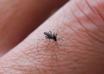 Allarme West Nile a Salerno? Possibile primo caso, ma si attende la conferma del sierologico