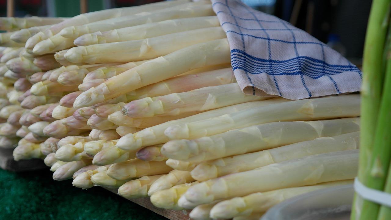 Asparagi bianchi ricette di pasta