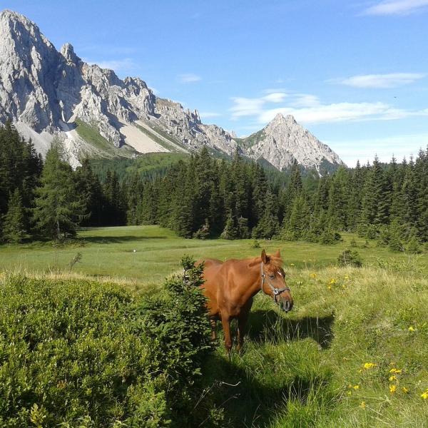 Quali sono i posti iconici del Friuli Venezia Giulia da non perdere in autunno