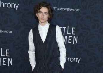 Timothée Chalamet torna in un film di Luca Guadagnino: fuori il trailer