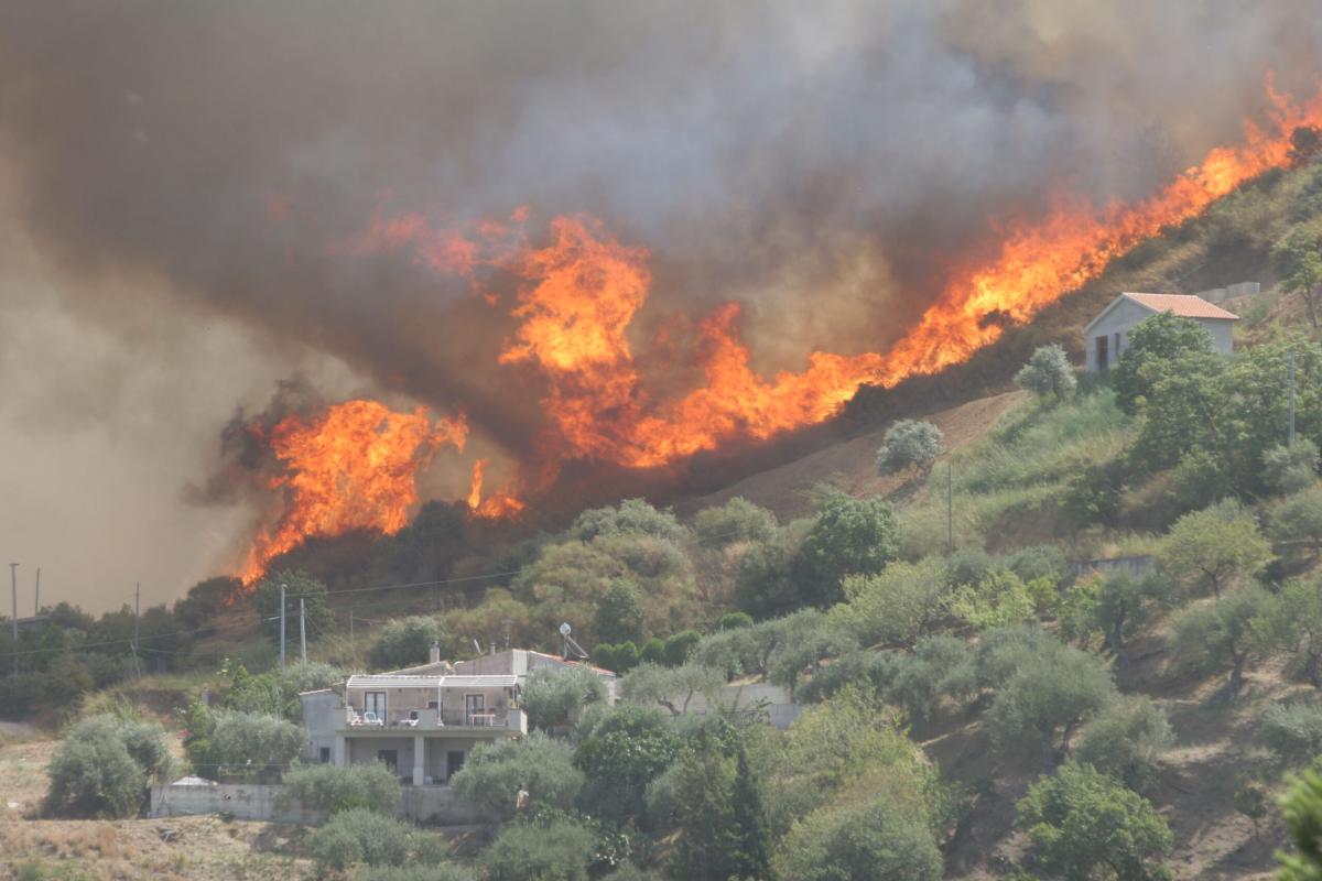 Incendi Sicilia oggi, la mappa: da Siracusa a Trapani, le fiamme de…