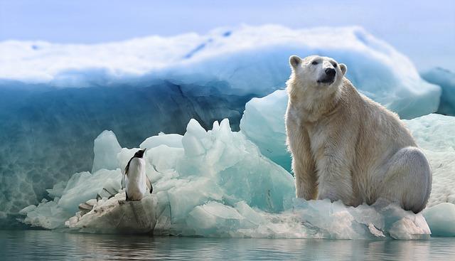 Giornata dell’Orso Polare: storia, significato e iniziative 2024