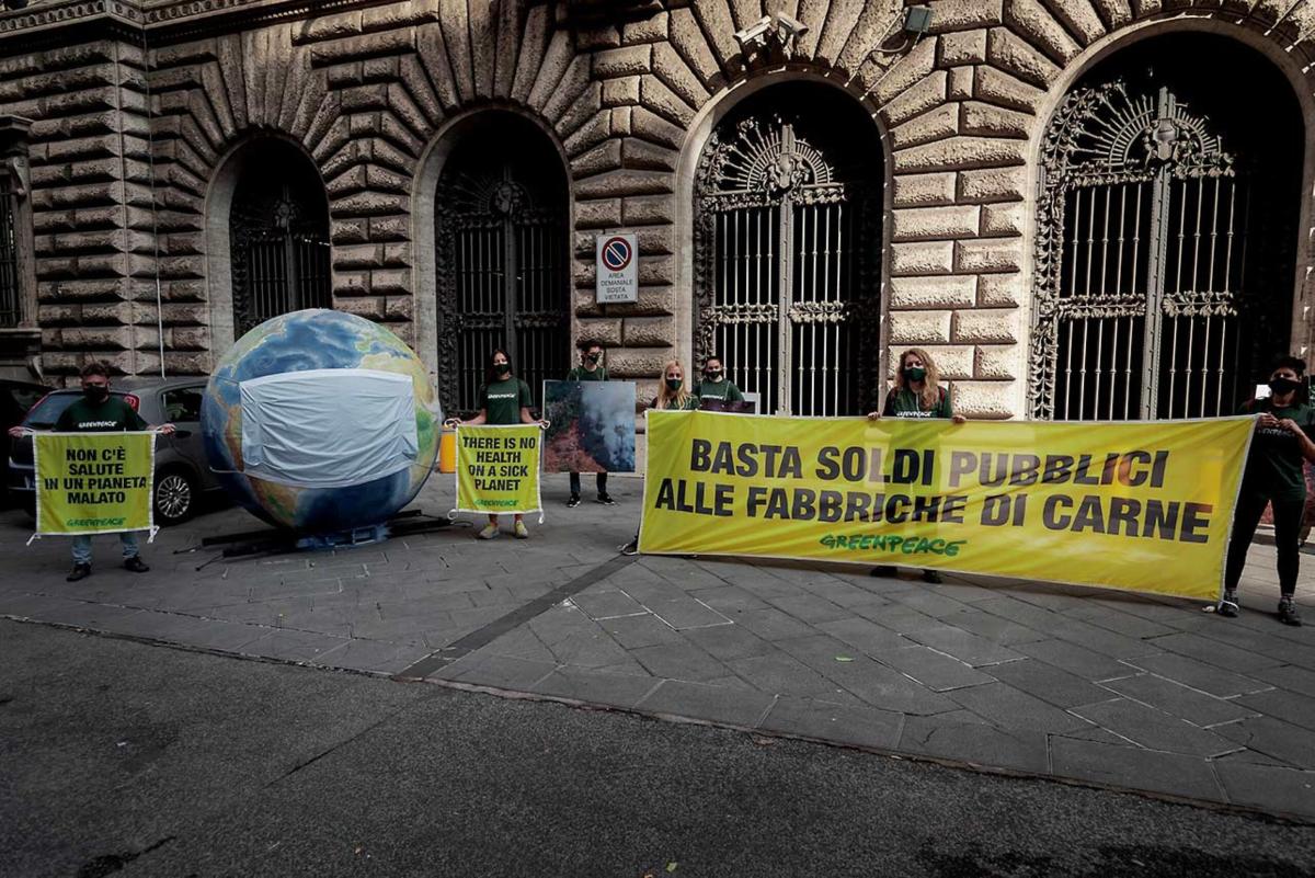 Allevamenti intensivi: perché inquinano e qual è il loro impatto su…