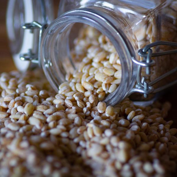 Farro, ricette calde, facili e gustose