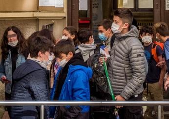 Mascherine scuola, regole su DAD e quarantena: tutte le FAQ del Min…