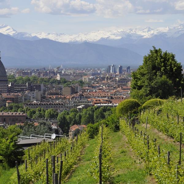 Elezioni regionali Piemonte 2024: nuovo sondaggio BiDiMedia