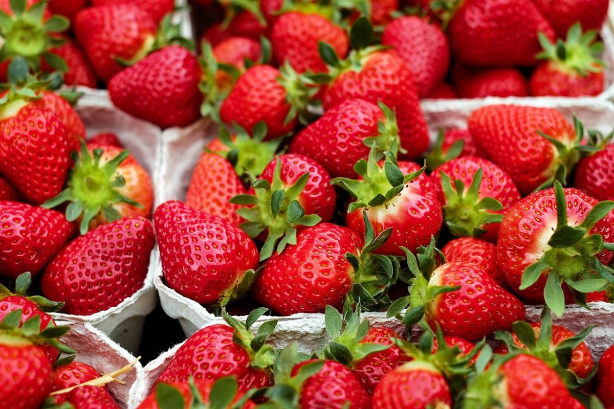 Fragole, ricette da provare assolutamente