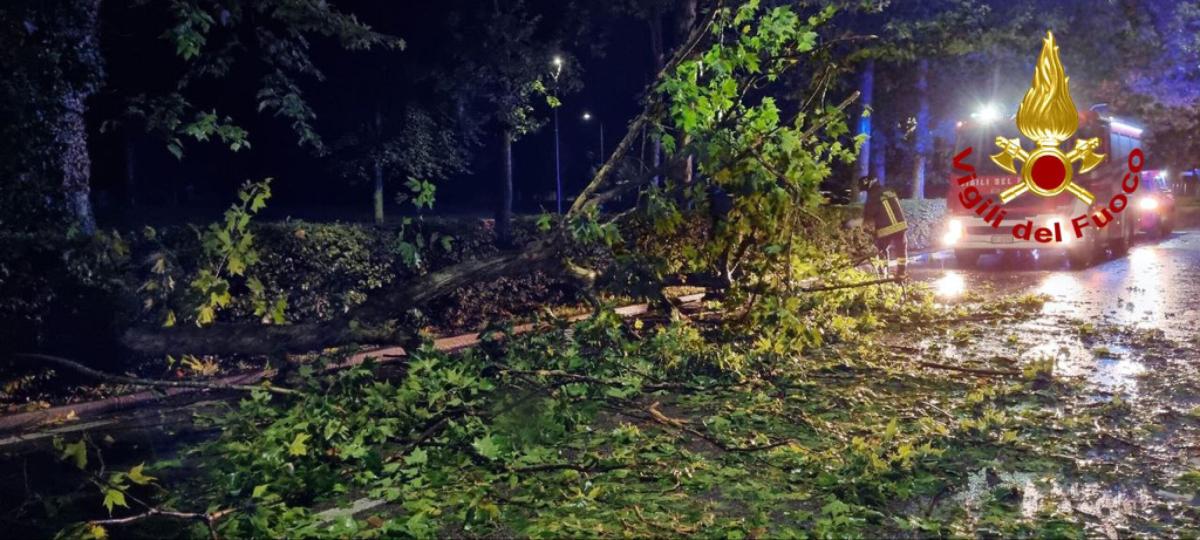 Maltempo in Friuli Venezia Giulia, vento fino a 130 km orari: danni…