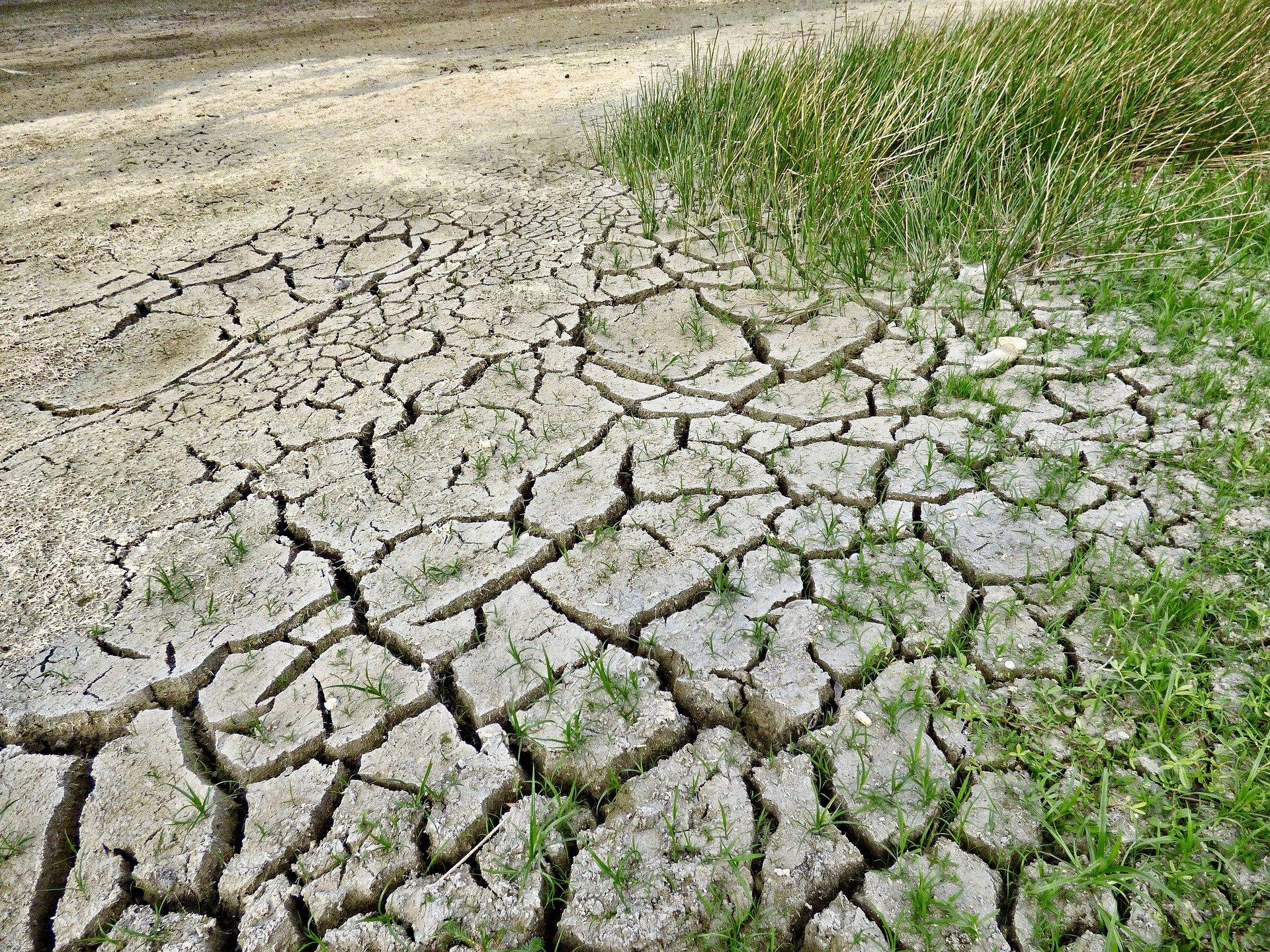 Clima, in Italia il 2022 è l’anno più caldo di sempre