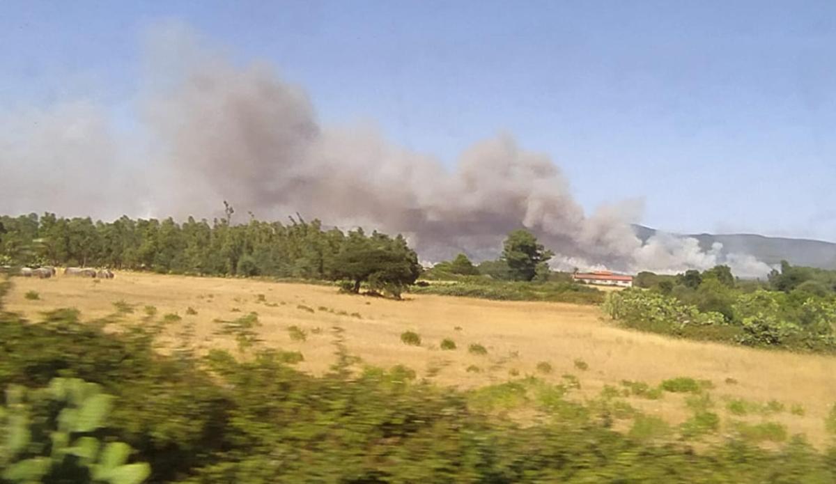 Incendi al Sud: ritrovato pilota precipitato in Sicilia, è vivo