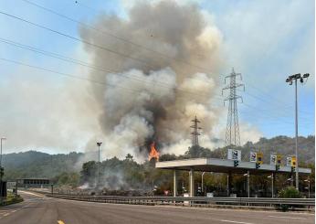 Incendio sul Carso: treni fermi e autostrada chiusa