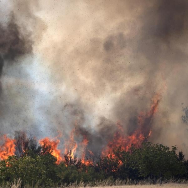 Marina di Pulsano (Taranto) devastata da un maxi incendio: piromane trasportato in carcere. Cosa è successo lo scorso 30 luglio 2024?