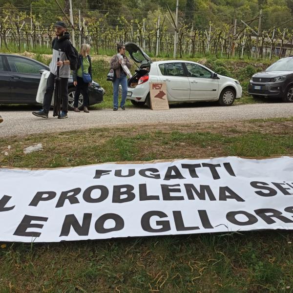 Trentino, domani la manifestazione contro il ddl ammazza-orsi. Vitturi (LAV): “Gli animali non possono pagare le colpe di Fugatti”