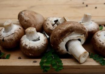 Una golosità autunnale: lo sformato di patate e funghi