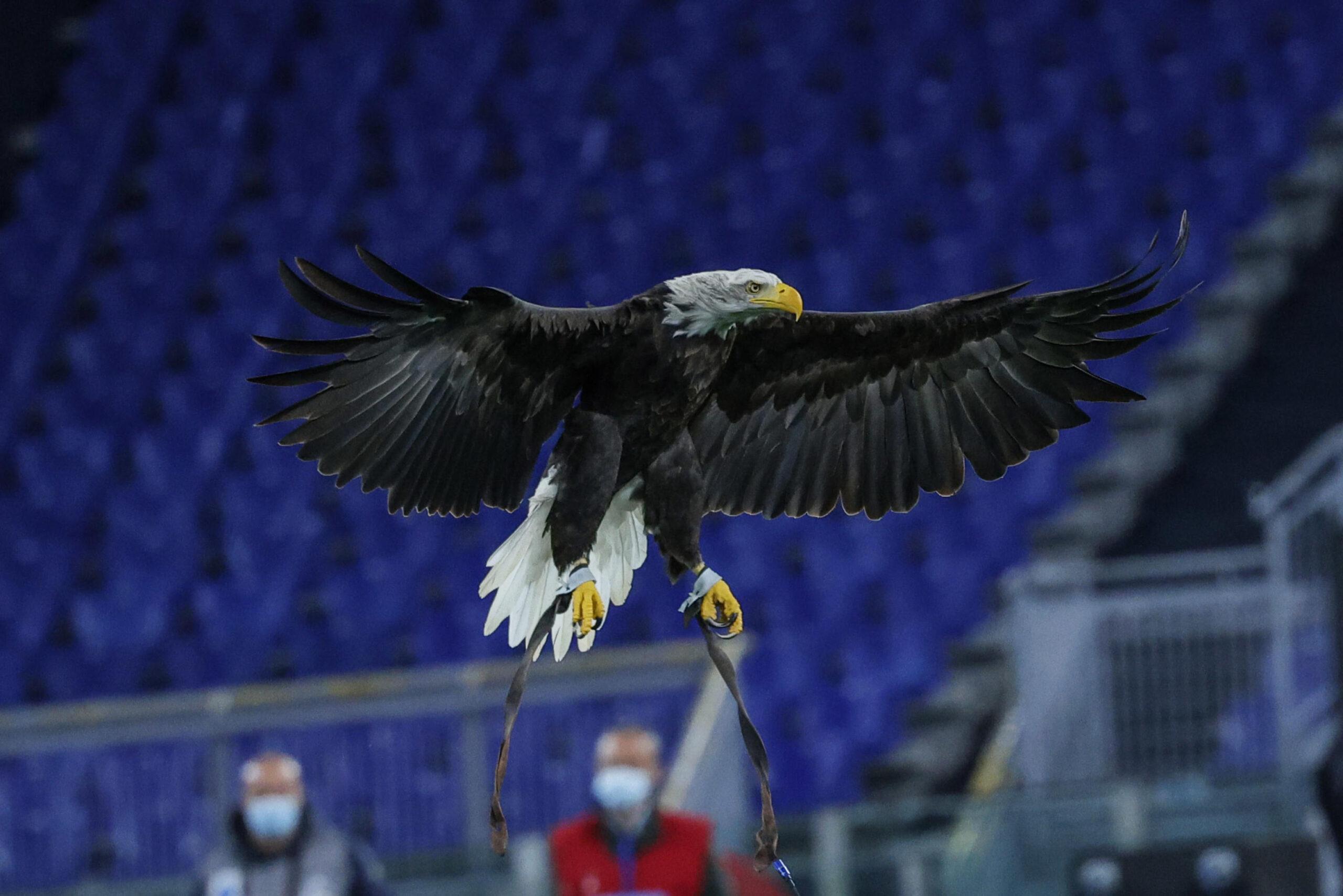 La Lazio attacca “Belve” e la Rai: social scatenati